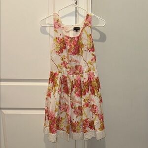 The Limited Floral Sleeveless Dress